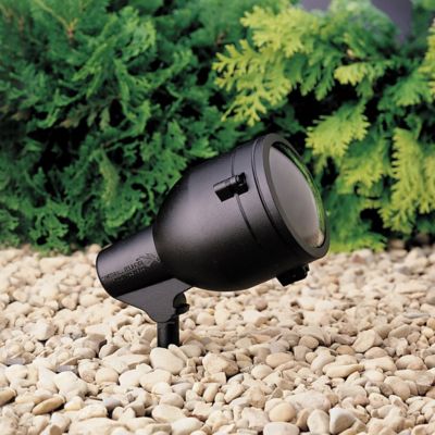Accent 1-Lt 120V