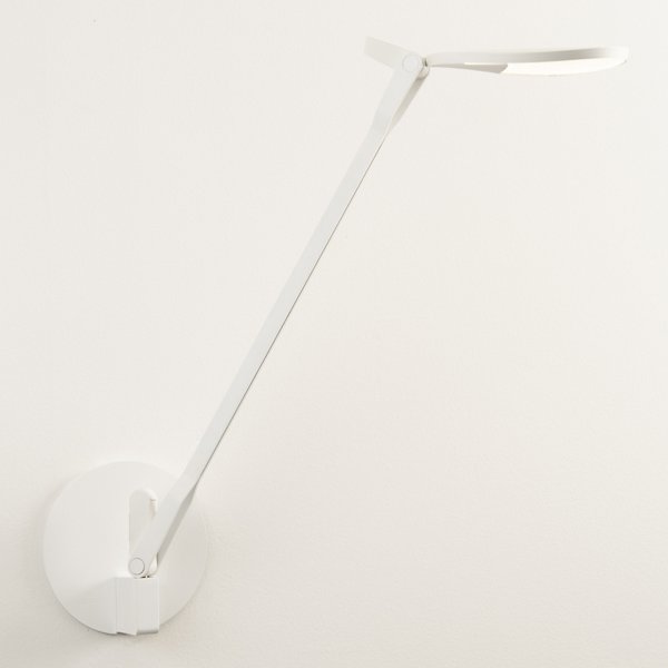 Splitty LED Desk Lamp