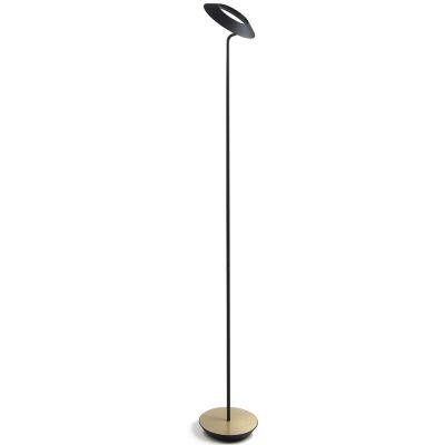 Royyo LED Floor Lamp