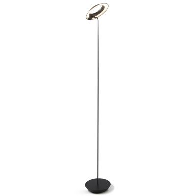 Royyo LED Floor Lamp