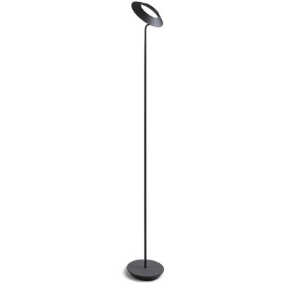 Royyo LED Floor Lamp