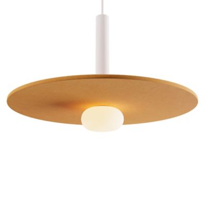 Combi Large Disc LED Pendant