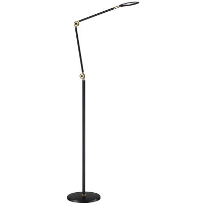 ICAN LED Floor Lamp