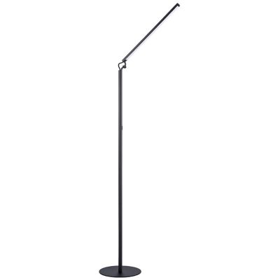 ZUON LED Floor Lamp