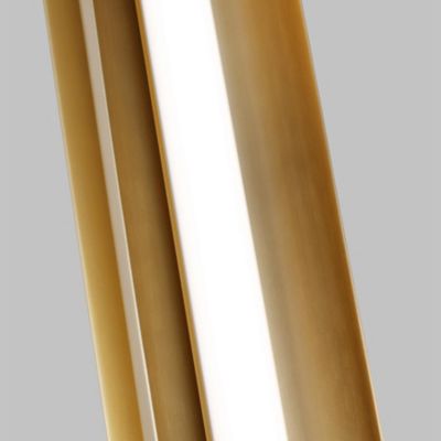 Carson LED Vanity Light