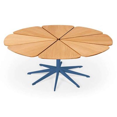 Petal Collection Coffee Table