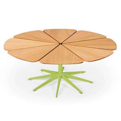 Petal Collection Coffee Table