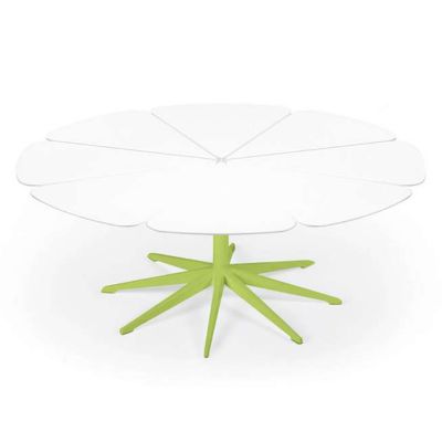 Petal Collection Coffee Table
