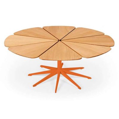 Petal Collection Coffee Table