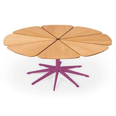 Petal Collection Coffee Table