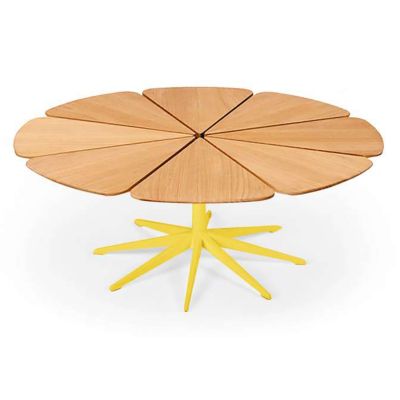 Petal Collection Coffee Table