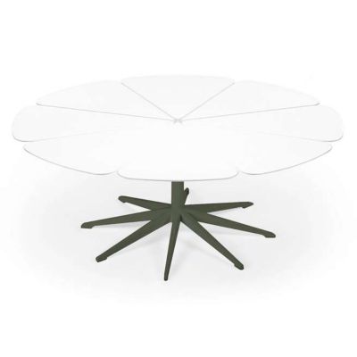 Petal Collection Coffee Table