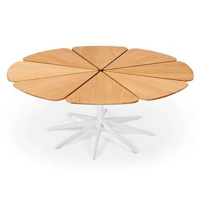 Petal Collection Coffee Table