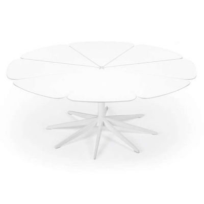 Petal Collection Coffee Table
