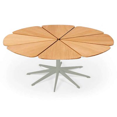 Petal Collection Coffee Table