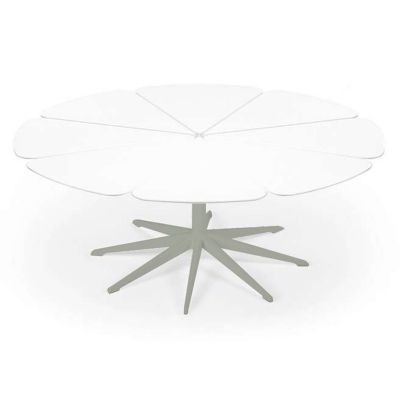 Petal Collection Coffee Table