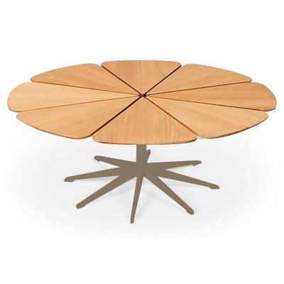 Petal Collection Coffee Table