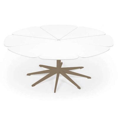 Petal Collection Coffee Table