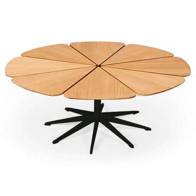 Petal Collection Coffee Table
