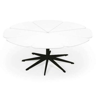 Petal Collection Coffee Table
