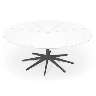 Petal Collection Coffee Table