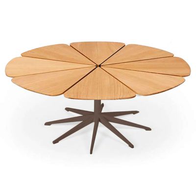 Petal Collection Coffee Table