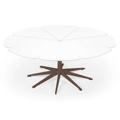 Petal Collection Coffee Table