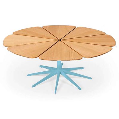 Petal Collection Coffee Table
