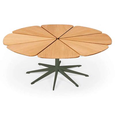 Petal Collection Coffee Table