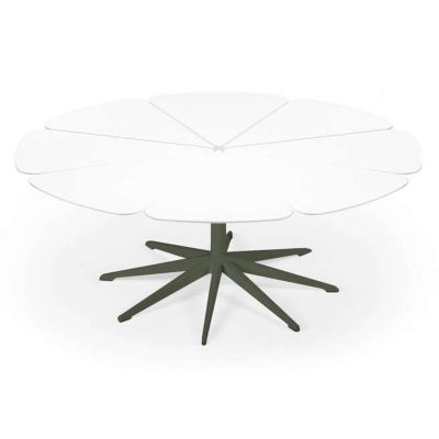 Petal Collection Coffee Table