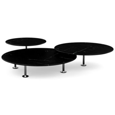 Low Grasshopper Coffee Table