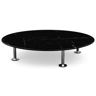 Low Grasshopper Coffee Table