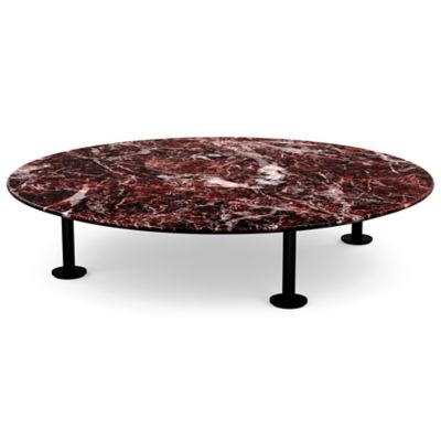 Low Grasshopper Coffee Table
