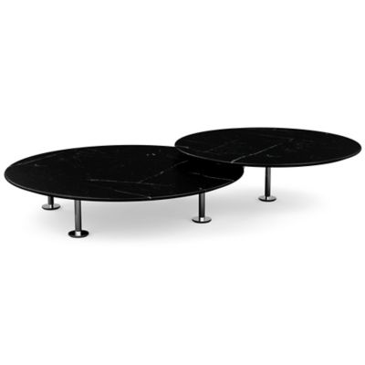 Low Grasshopper Coffee Table