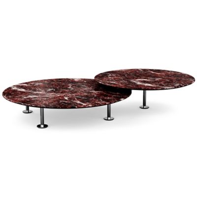 Low Grasshopper Coffee Table