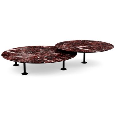 Low Grasshopper Coffee Table