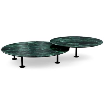 Low Grasshopper Coffee Table