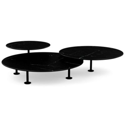 Low Grasshopper Coffee Table