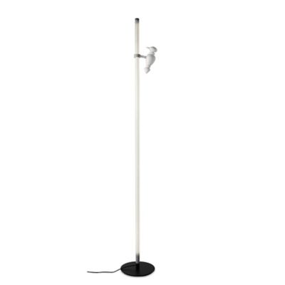 Accipicchio LED Floor Lamp