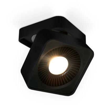 Solo LED Directional Wall / Flushmount