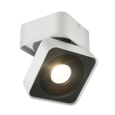 Solo LED Directional Wall / Flushmount