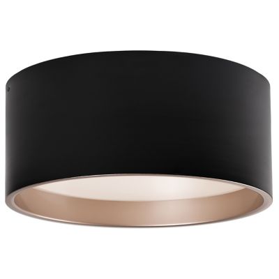 FM11410 LED Flushmount