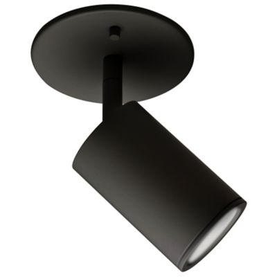 Black Semi-Flush Mount Lighting at Lumens