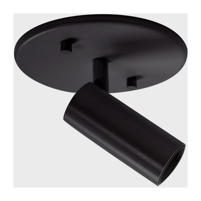 Downey Adjustable LED Spot Light