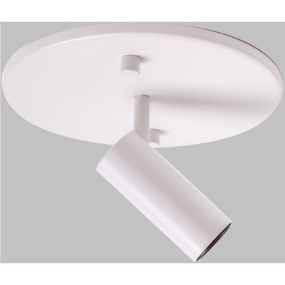 Downey Adjustable LED Spot Light