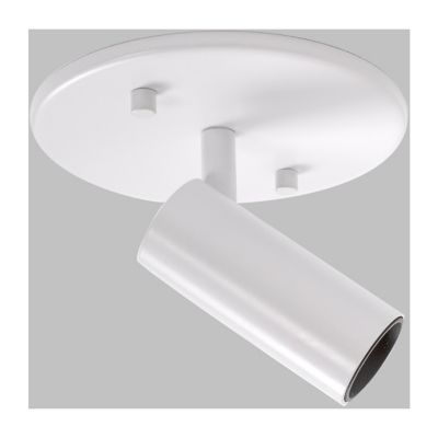 Downey Adjustable LED Spot Light