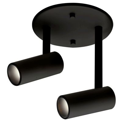 Downey 2 Light Adjustable LED Spot Light