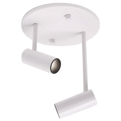 Downey 2 Light Adjustable LED Spot Light