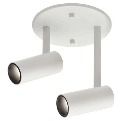 Downey 2 Light Adjustable LED Spot Light