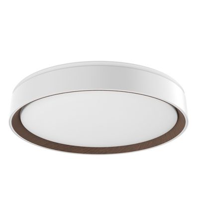 Essex LED Flushmount